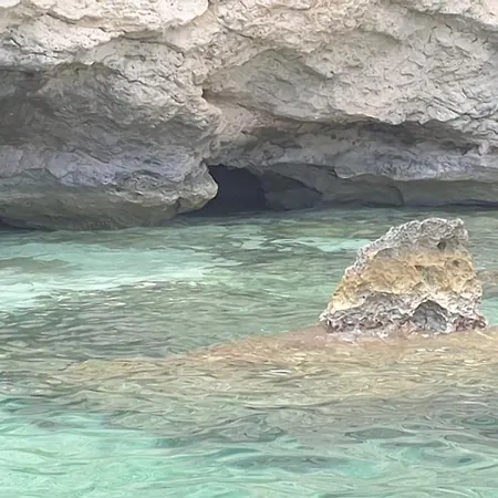 Ortensia Nyaraló