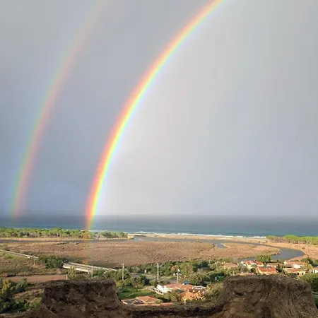 Ortensia Nyaraló *