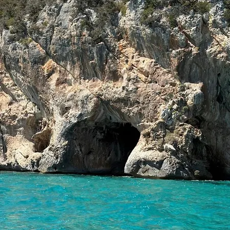 Ortensia