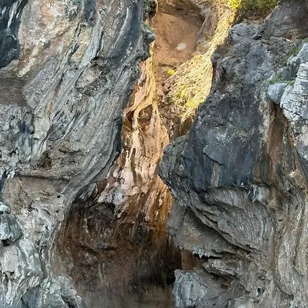 Ortensia Santa Lucia (Sardinia)